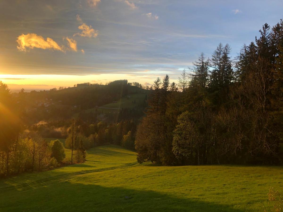 Hirschen Wald - Gasthaus & Baeckerei Luaran gambar