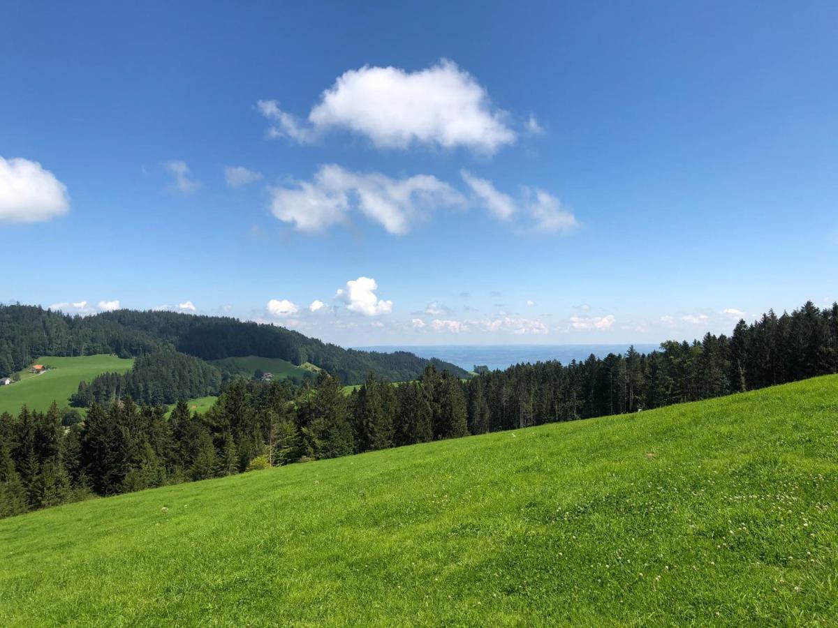 Hirschen Wald - Gasthaus & Baeckerei Luaran gambar