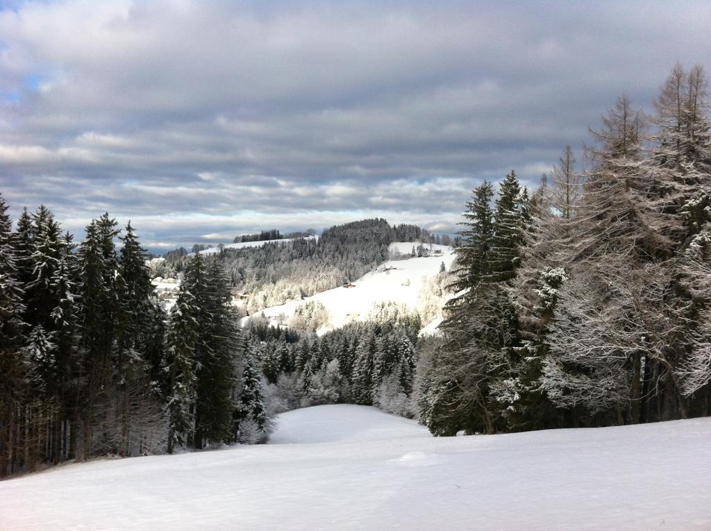 Hirschen Wald - Gasthaus & Baeckerei Luaran gambar