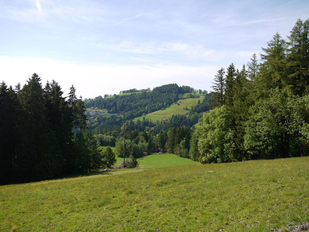 Hirschen Wald - Gasthaus & Baeckerei Luaran gambar
