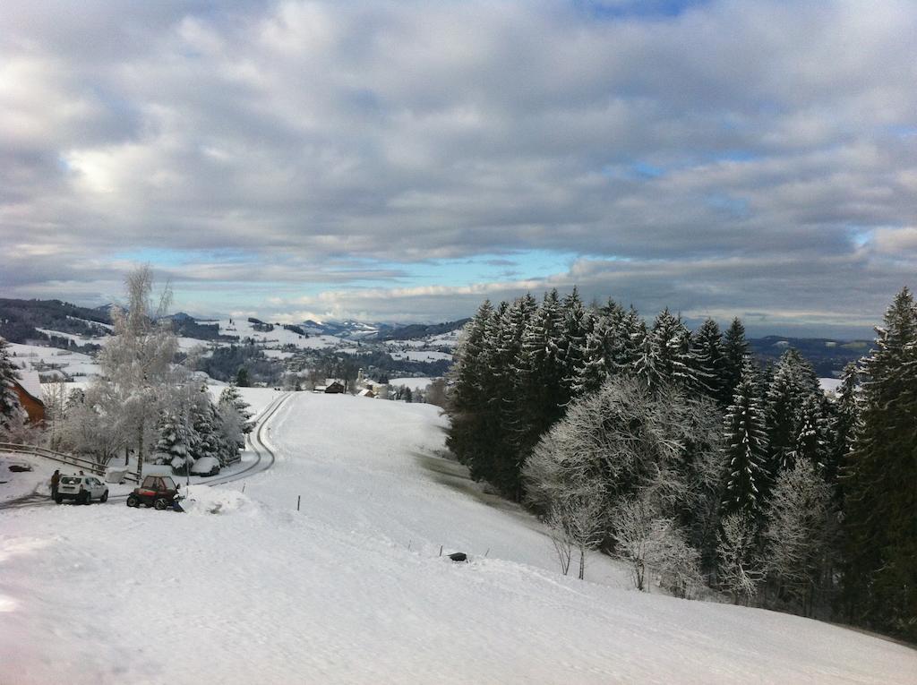 Hirschen Wald - Gasthaus & Baeckerei Luaran gambar
